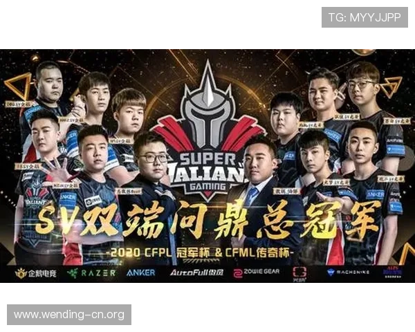 问鼎官网登录入口官方入口地址及登录流程详细解析，确保玩家顺利进入游戏